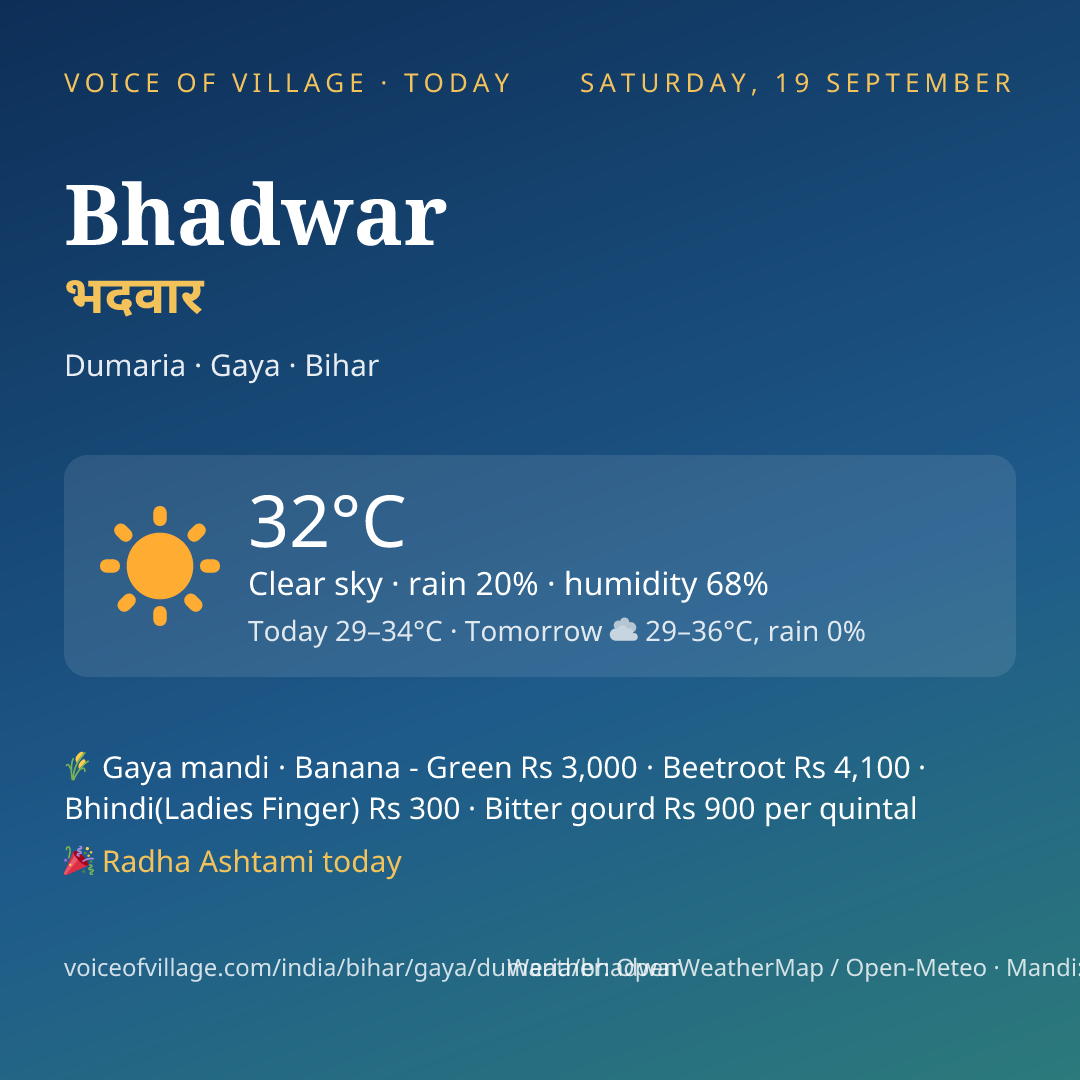 Bhadwar today