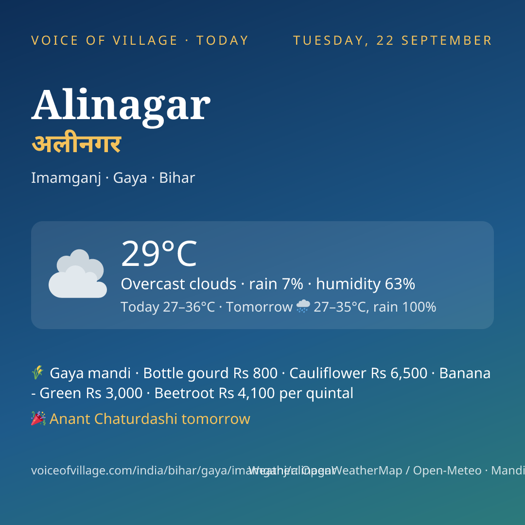 Alinagar today