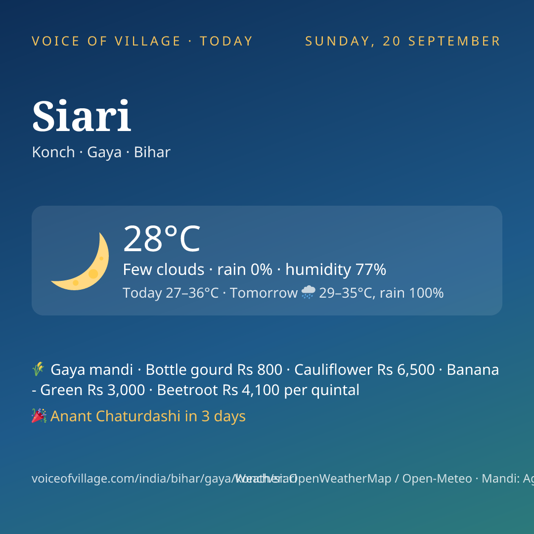 Siari today