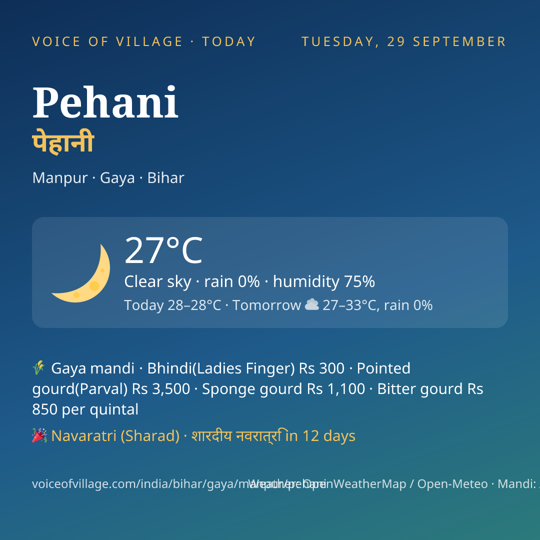 Pehani today