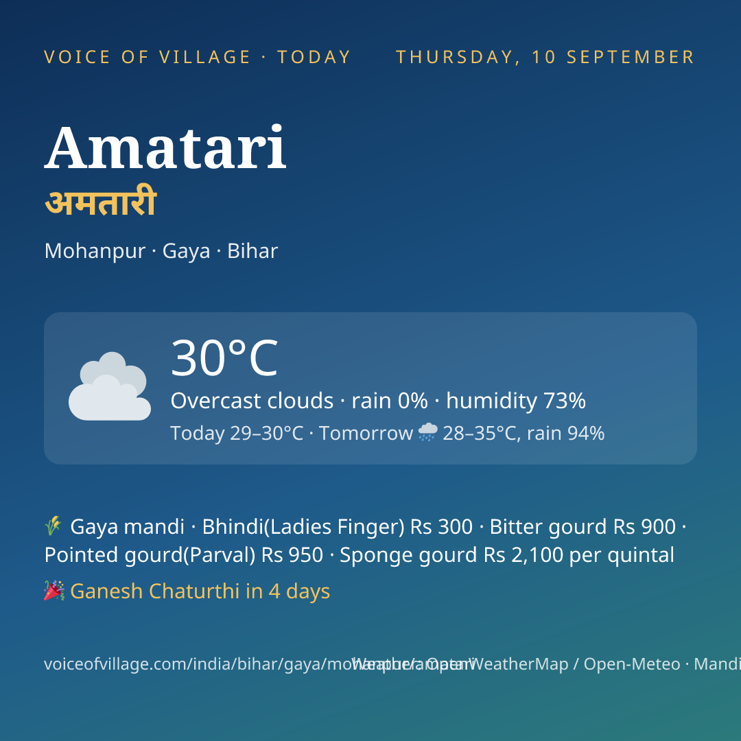 Amatari today