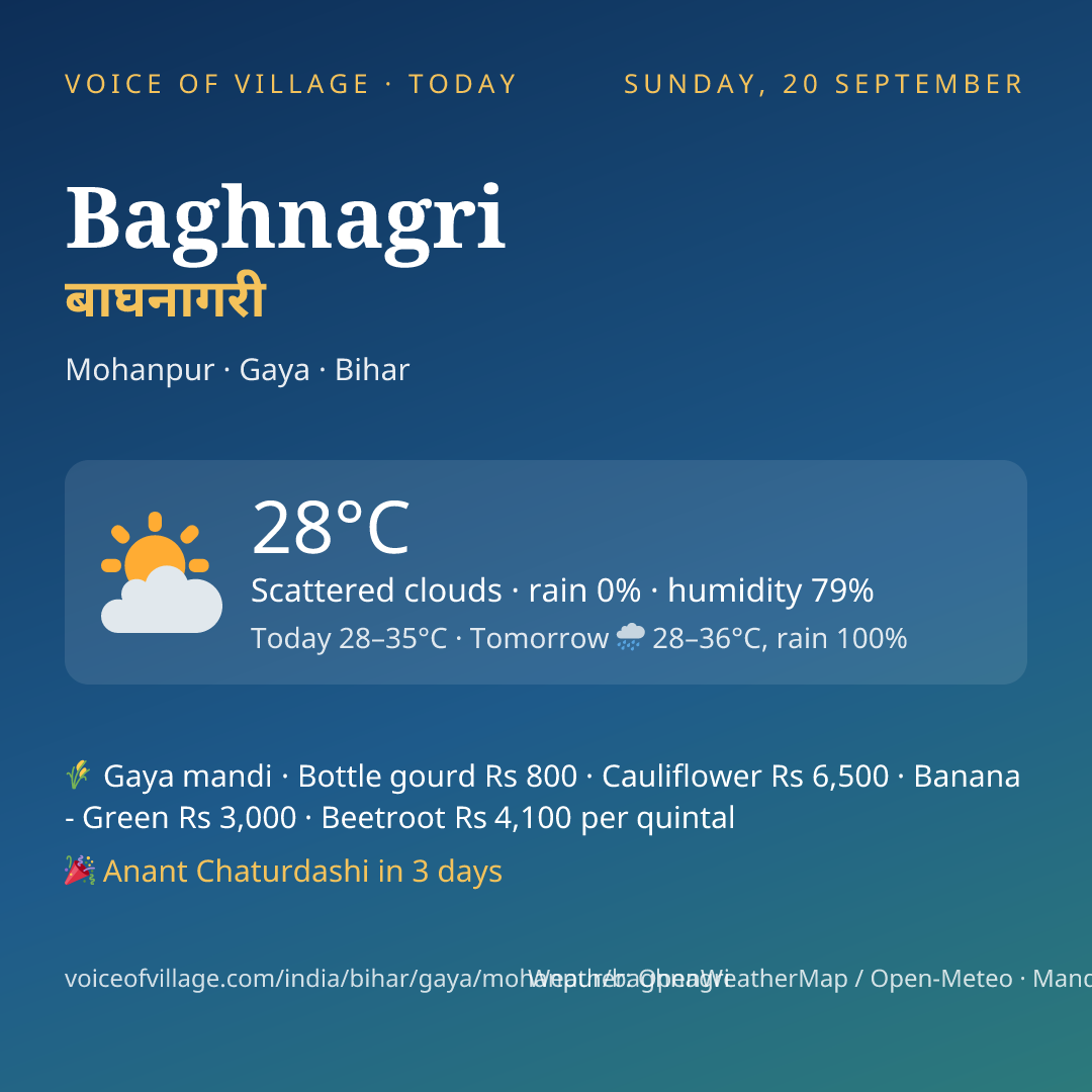 Baghnagri today