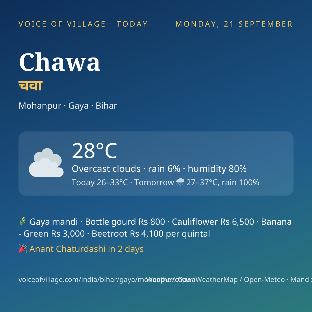 Chawa today