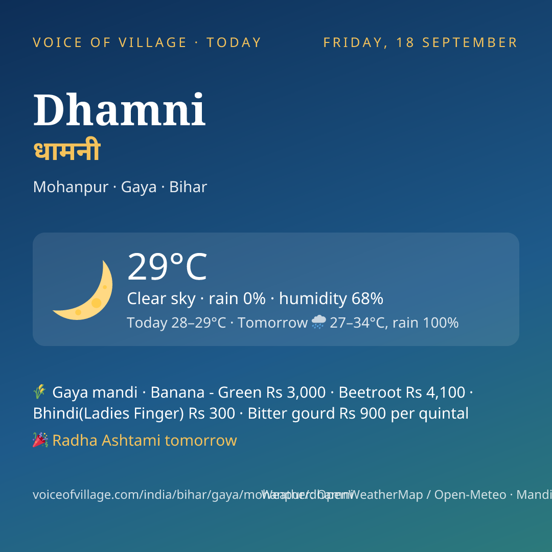 Dhamni today