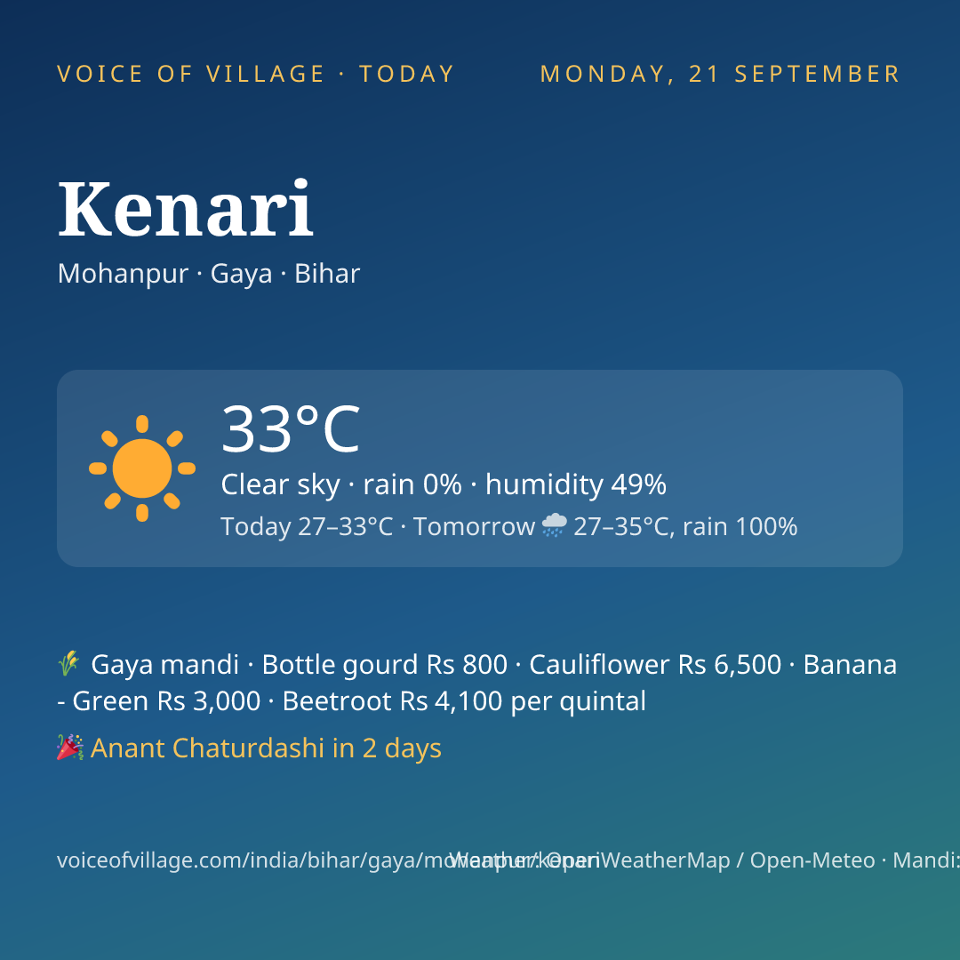 Kenari today