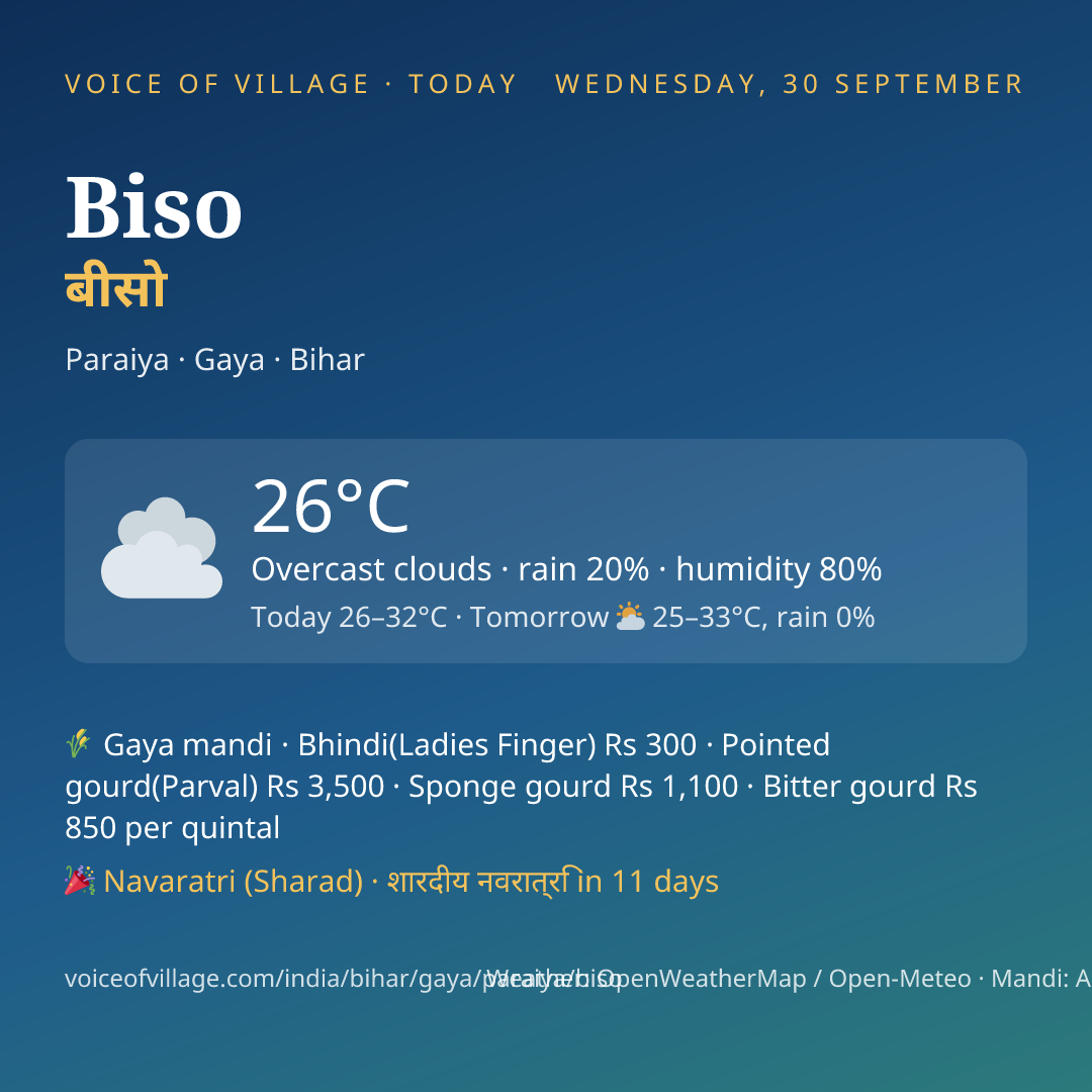 Biso today