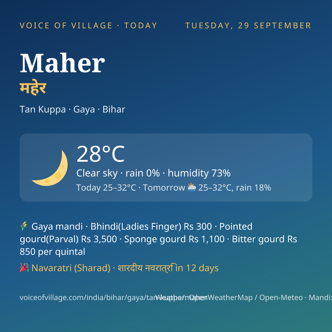 Maher today