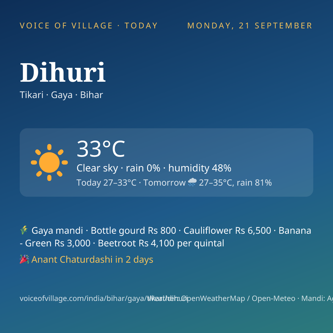 Dihuri today