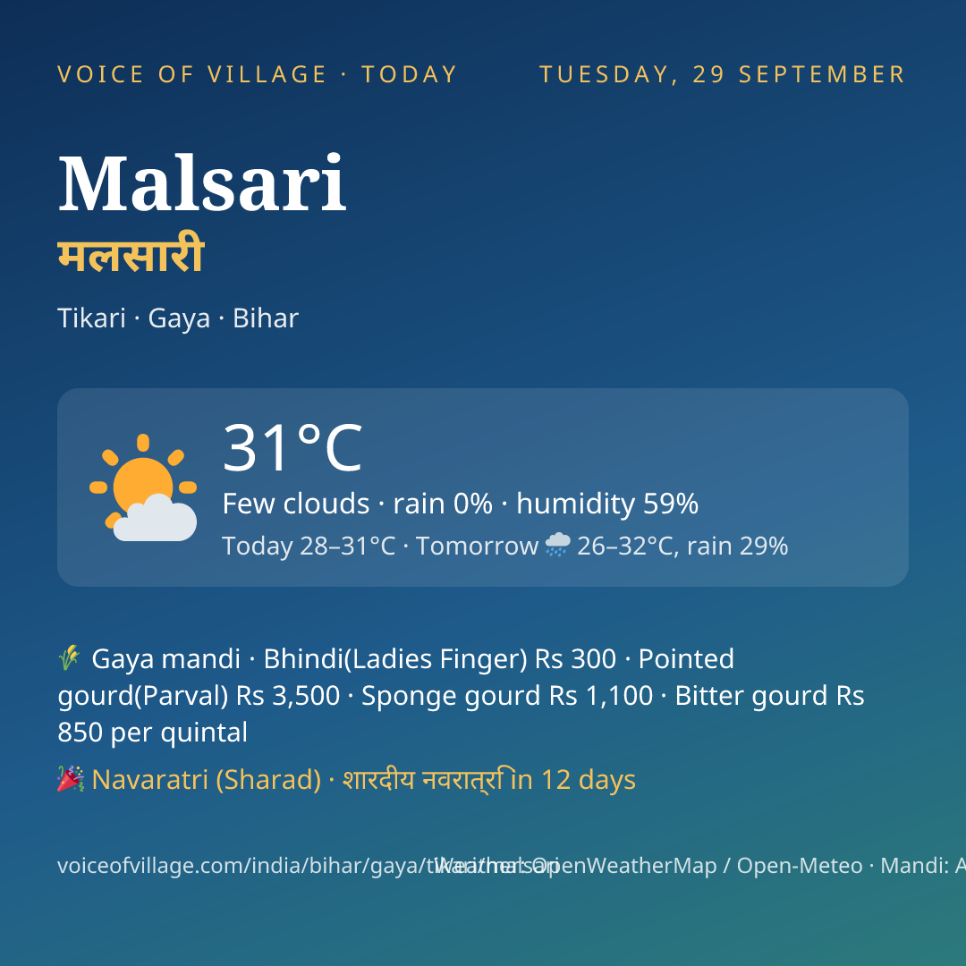 Malsari today