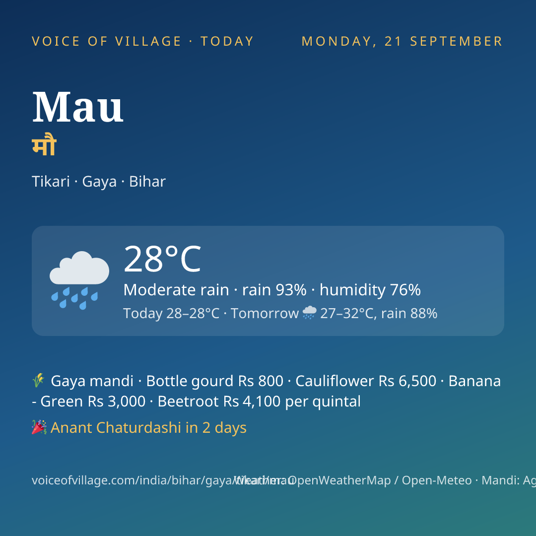 Mau today