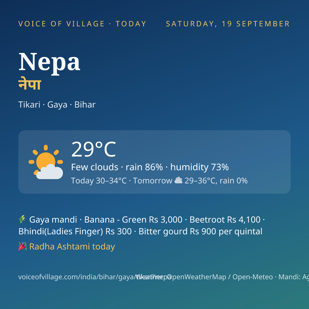 Nepa today
