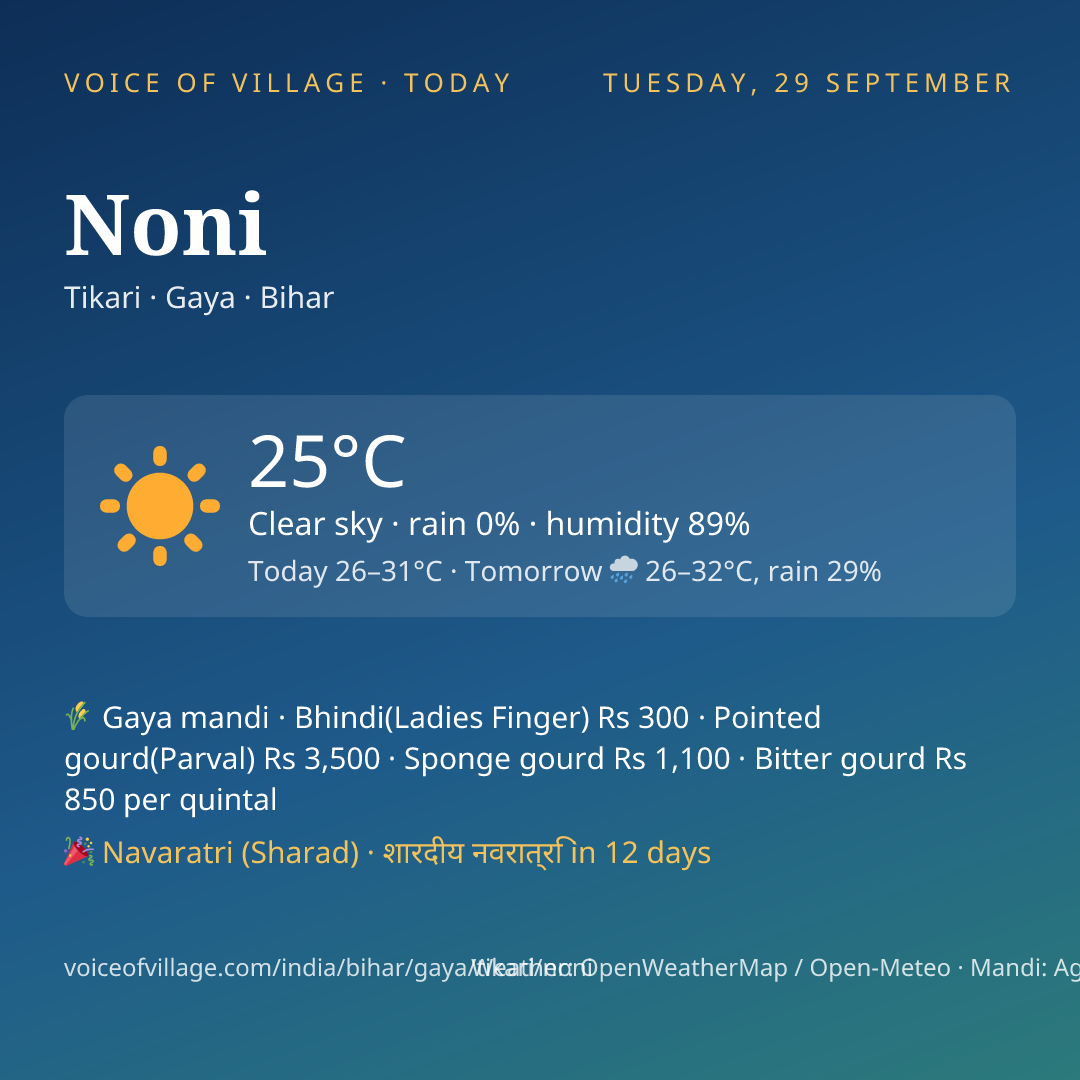 Noni today