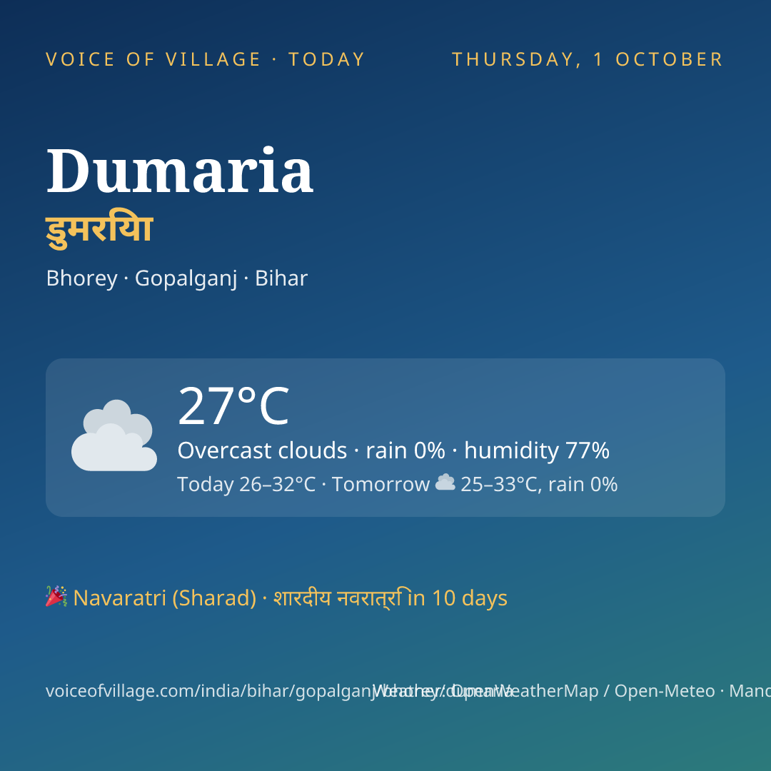 Dumaria today
