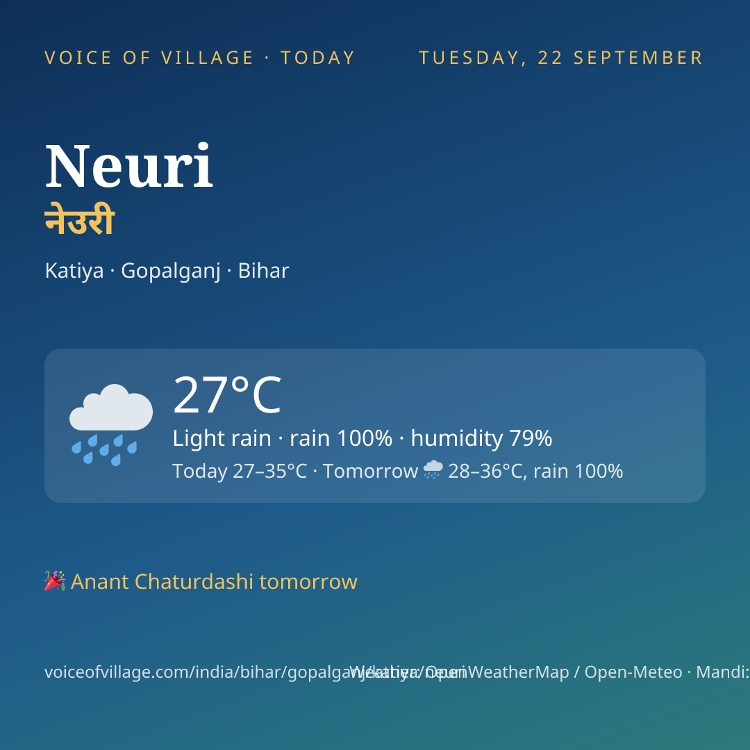 Neuri today