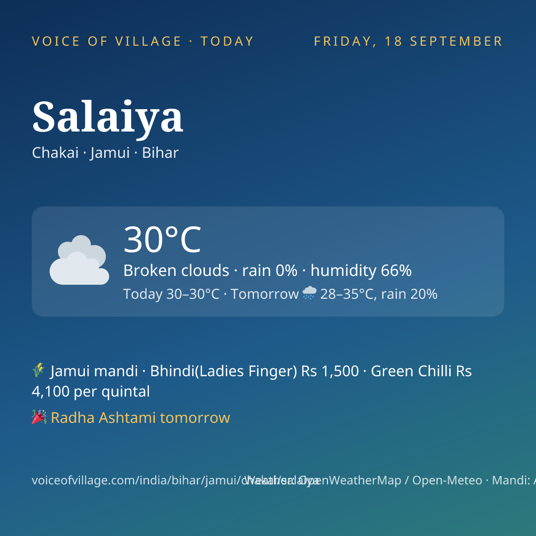 Salaiya today