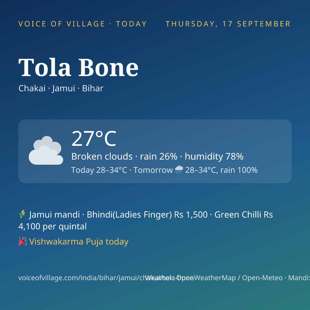 Tola Bone today