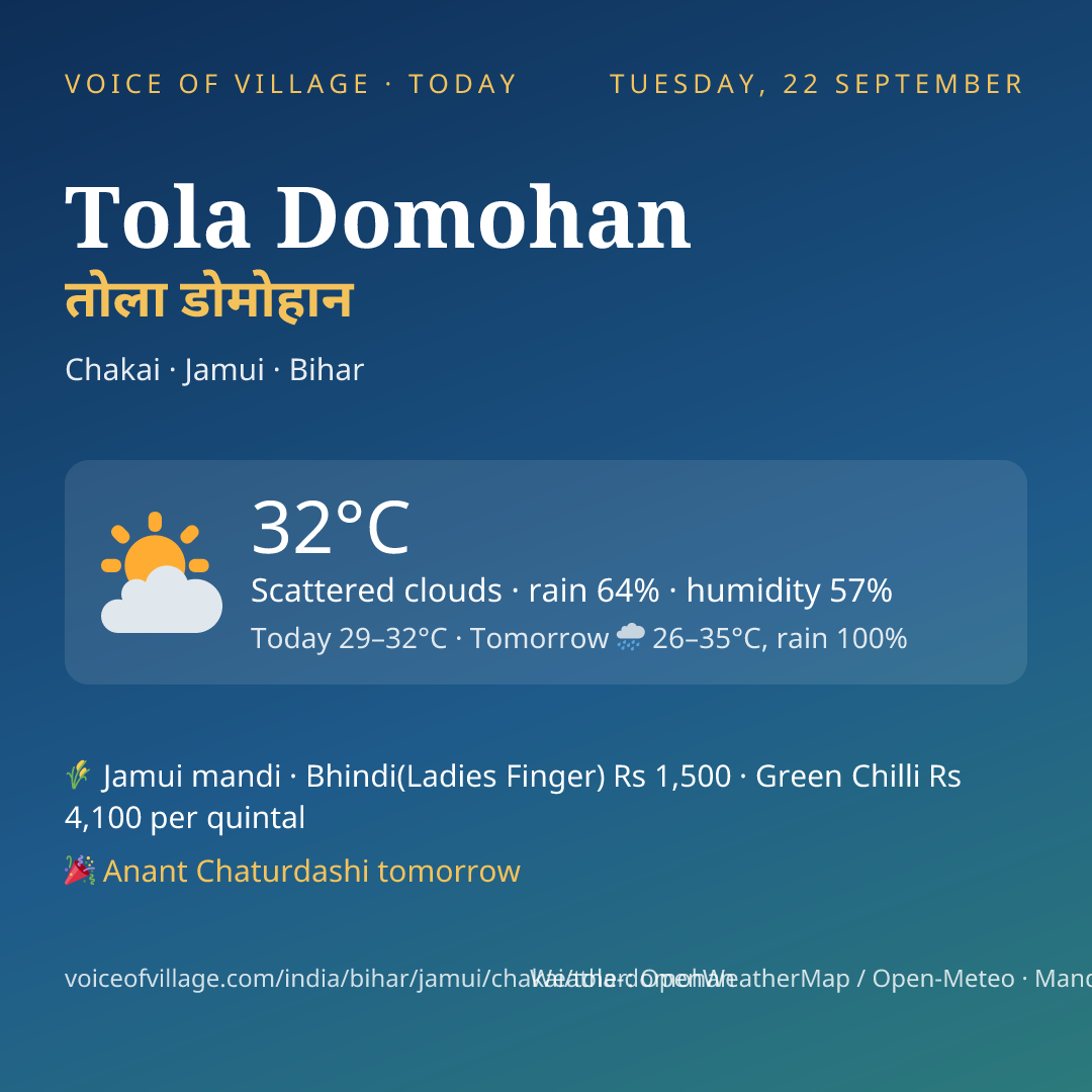 Tola Domohan today