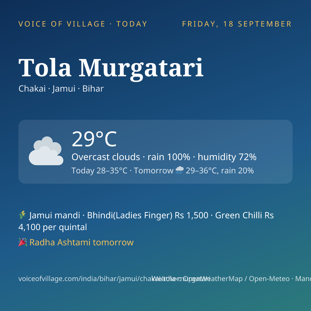 Tola Murgatari today
