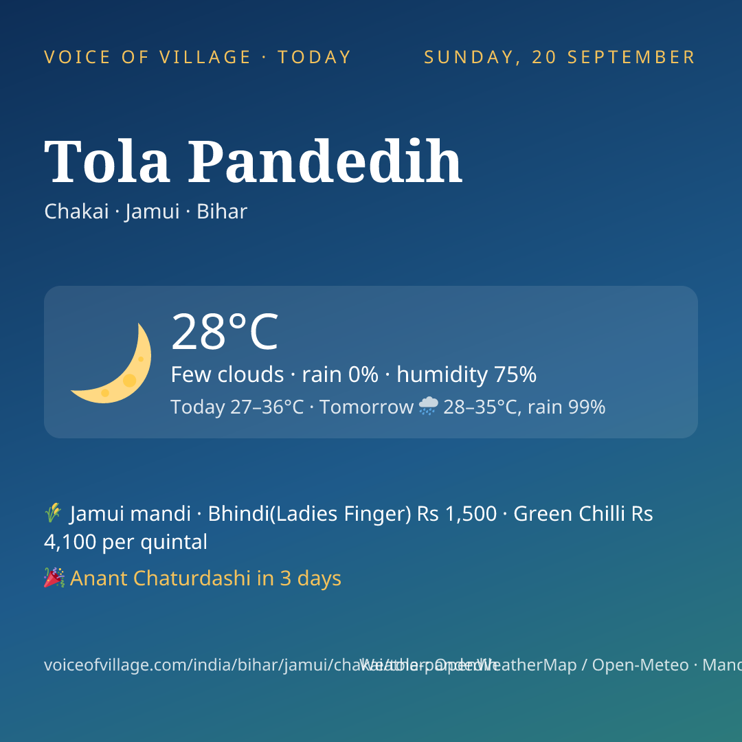 Tola Pandedih today