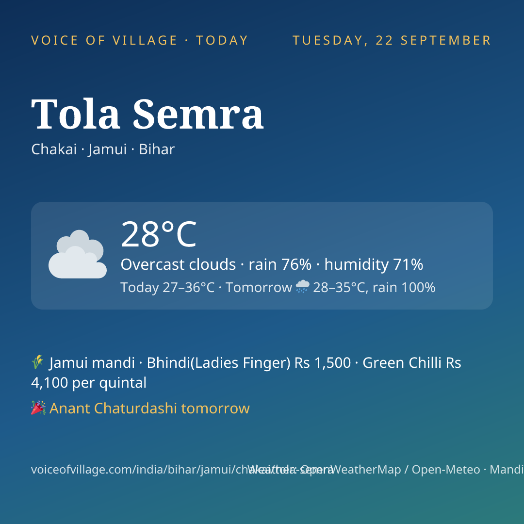 Tola Semra today