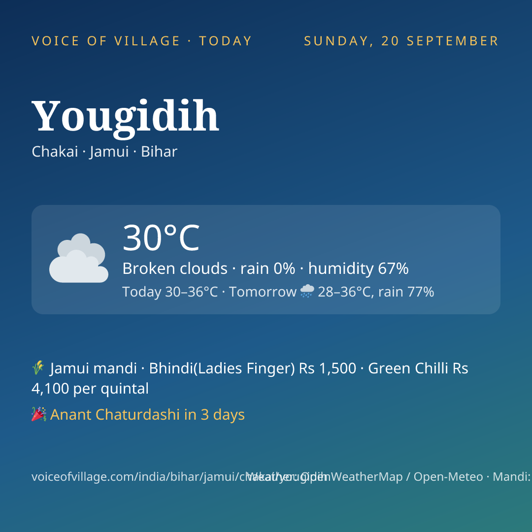 Yougidih today