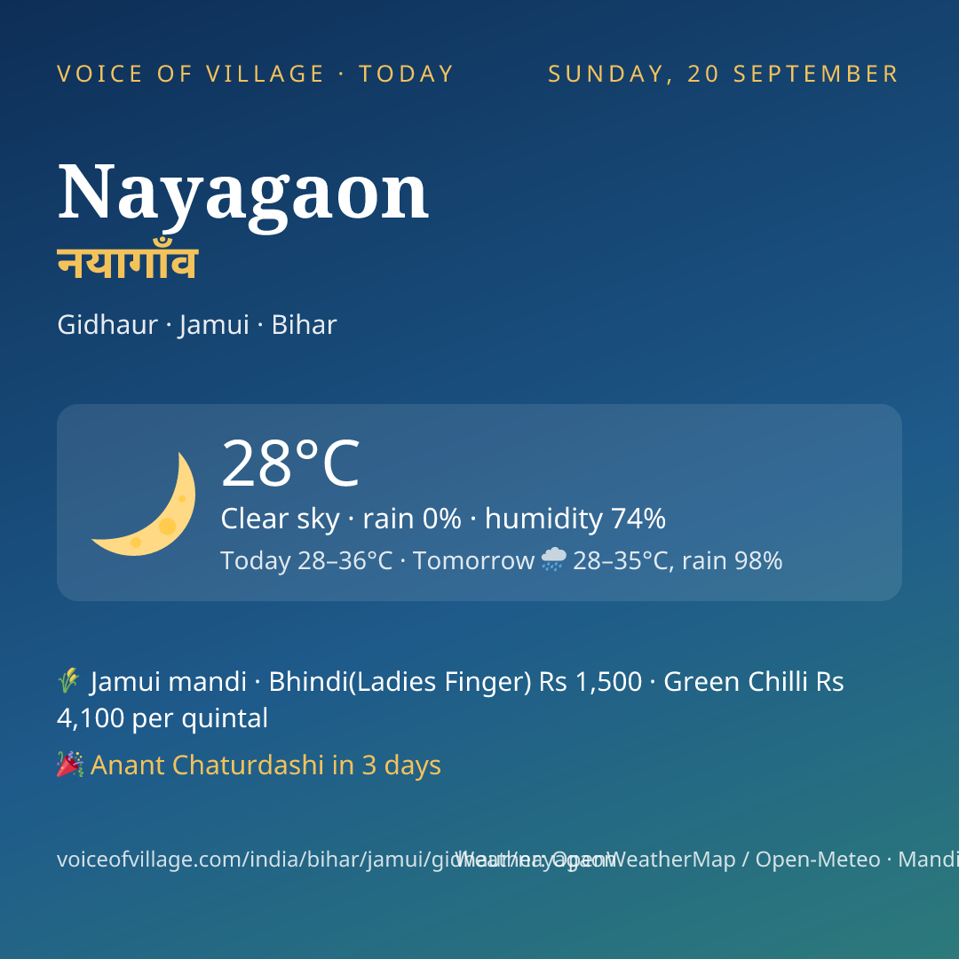 Nayagaon today