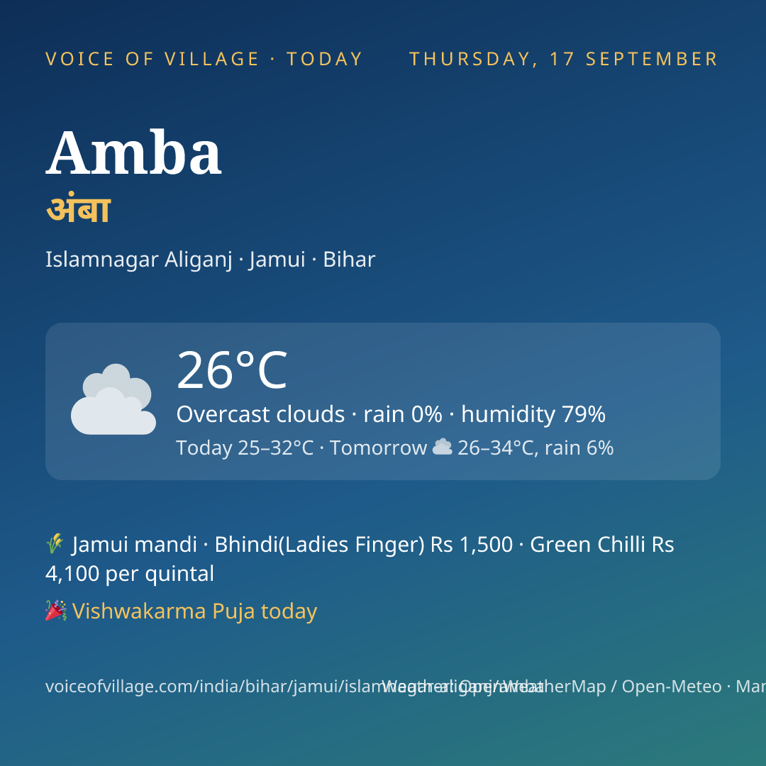 Amba today