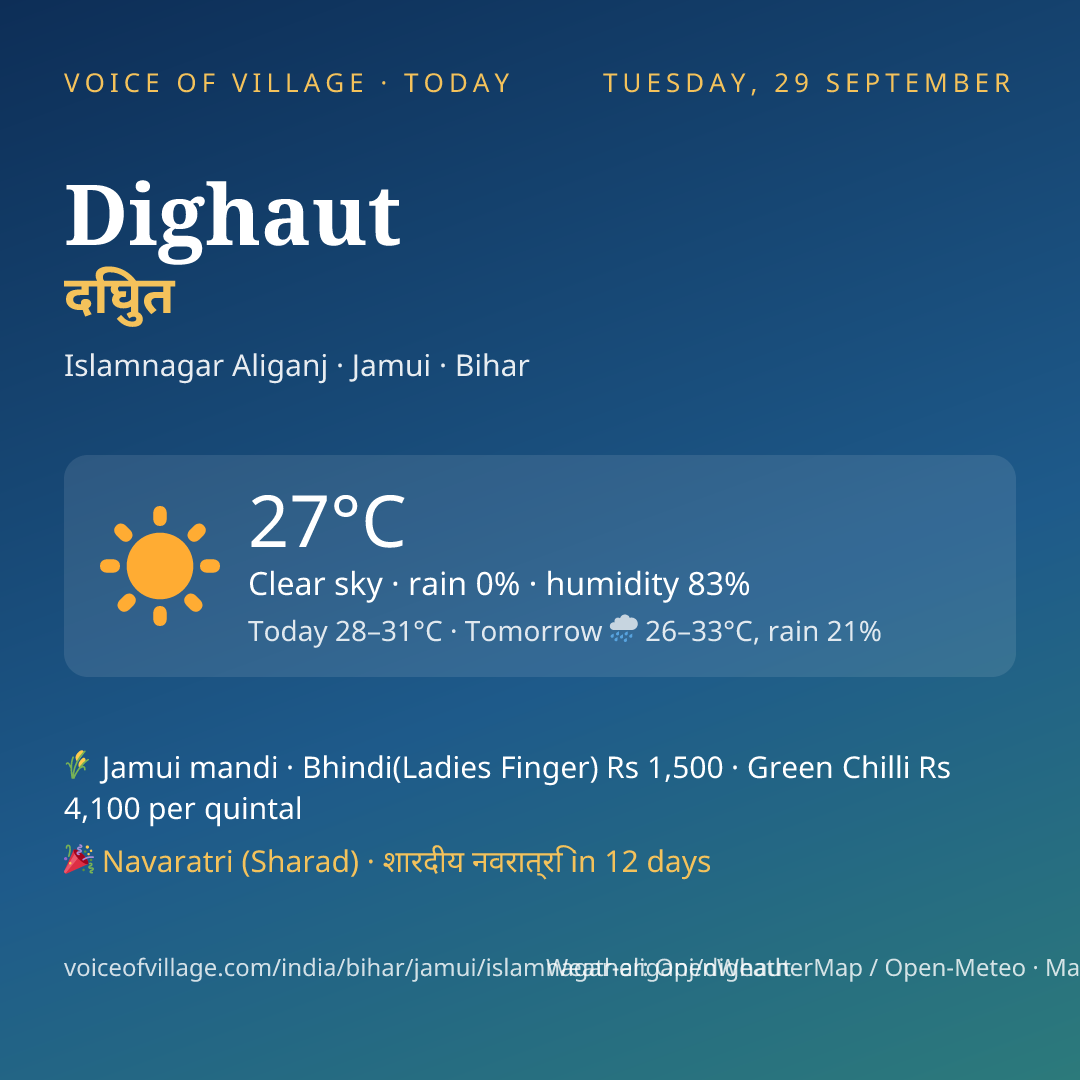 Dighaut today