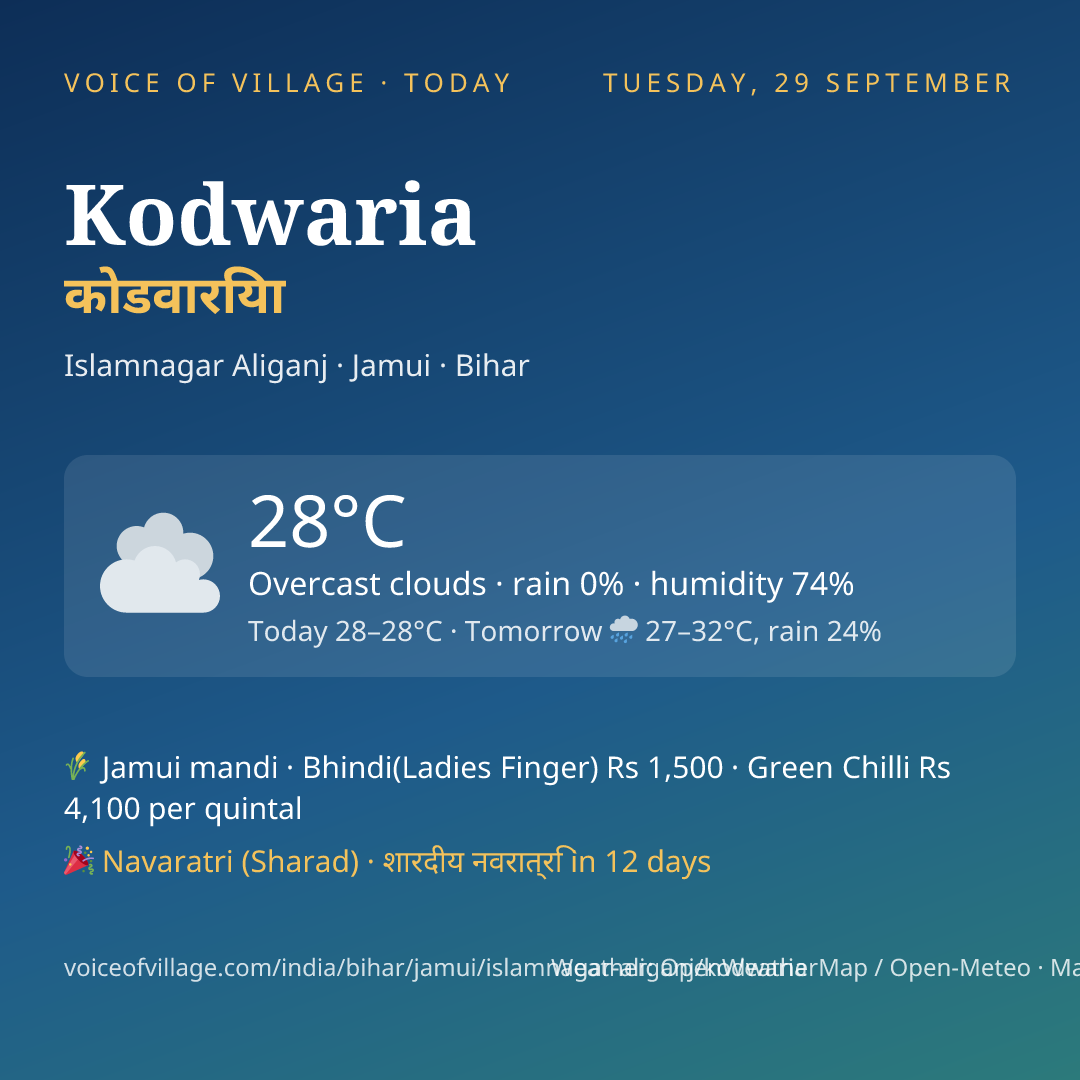Kodwaria today