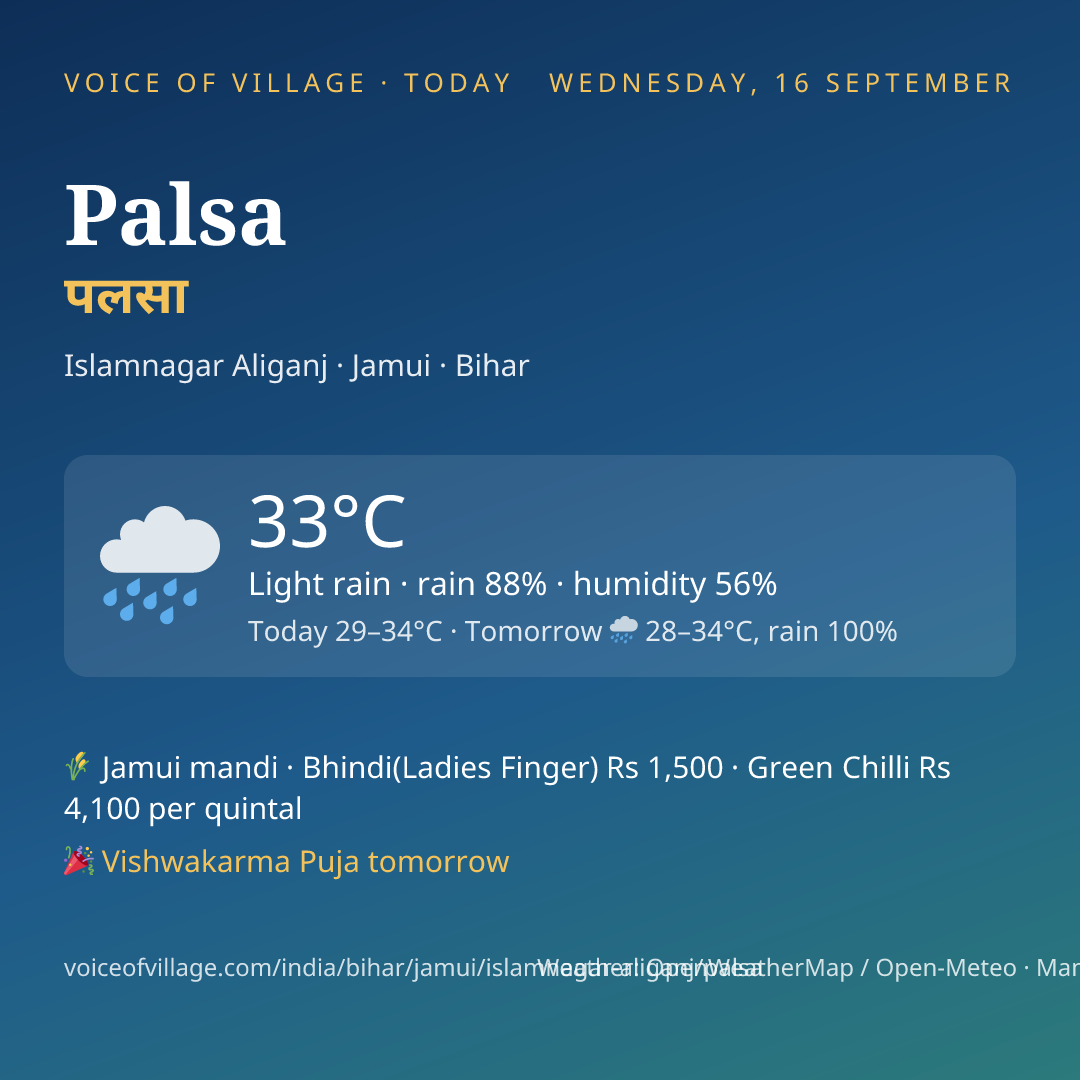 Palsa today