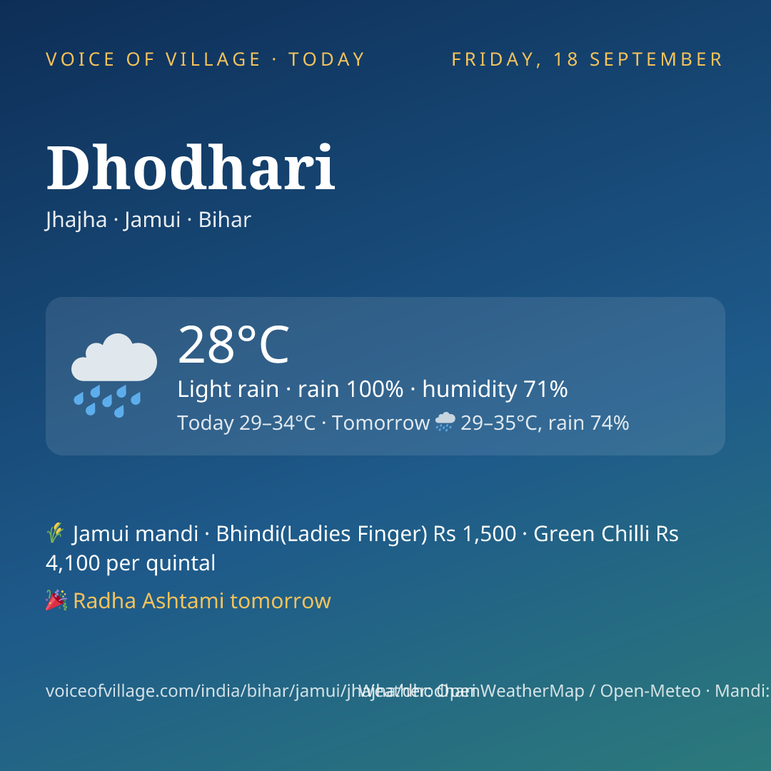 Dhodhari today