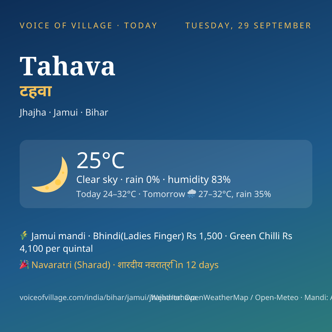 Tahava today