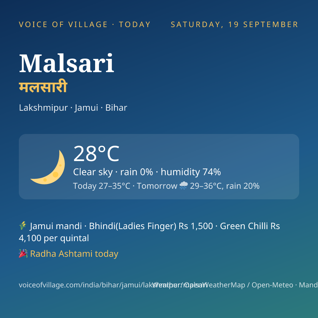 Malsari today
