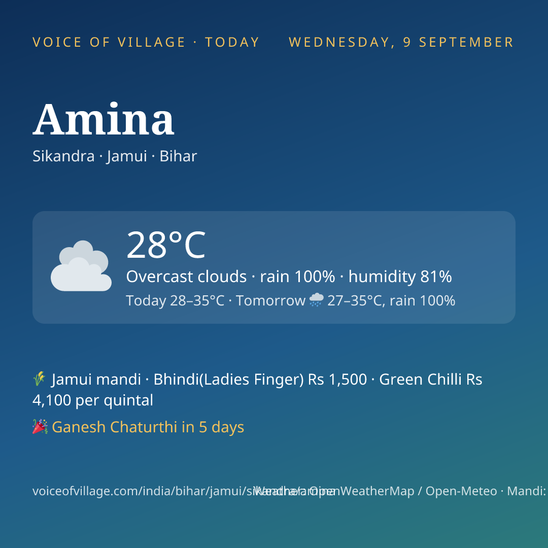 Amina today