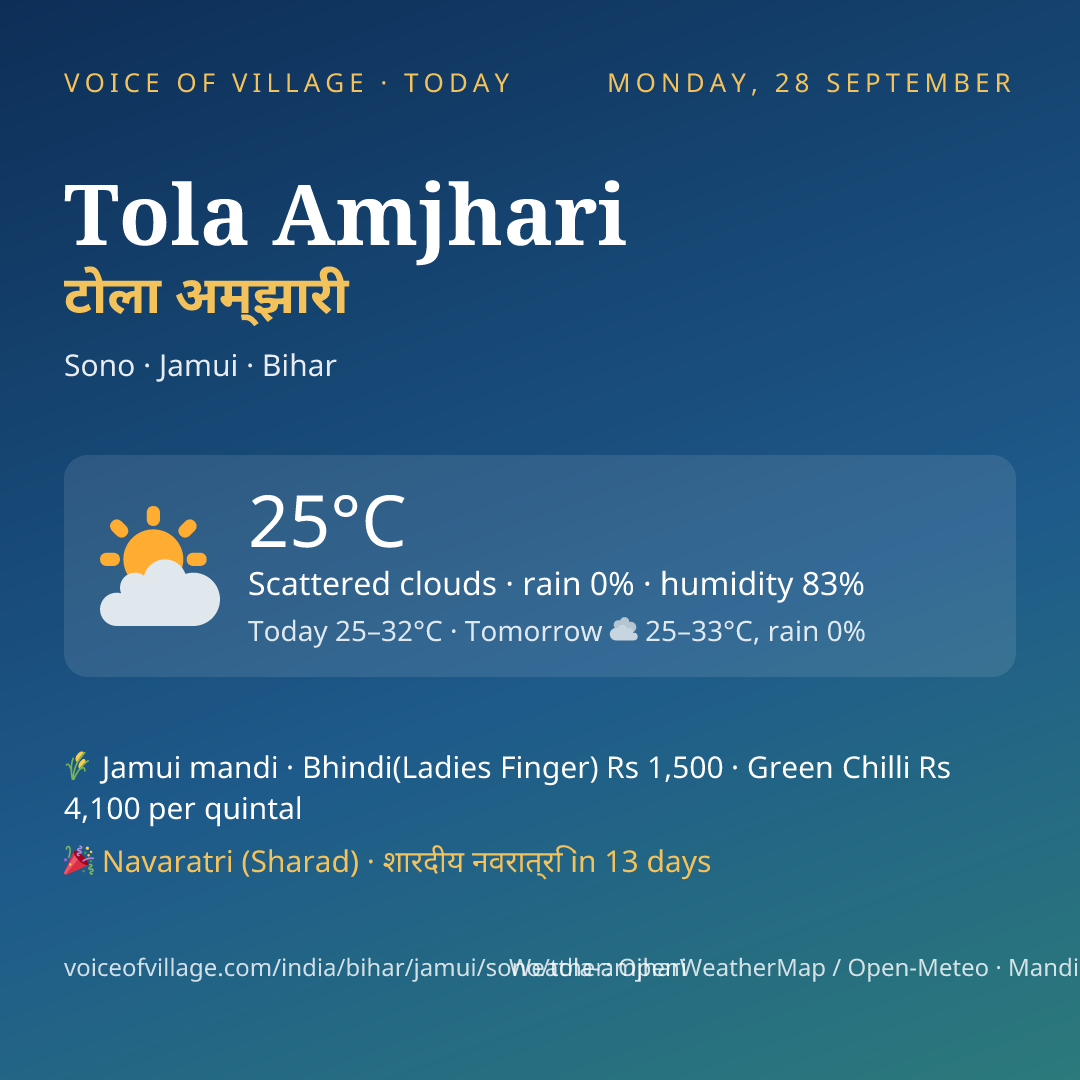 Tola Amjhari today
