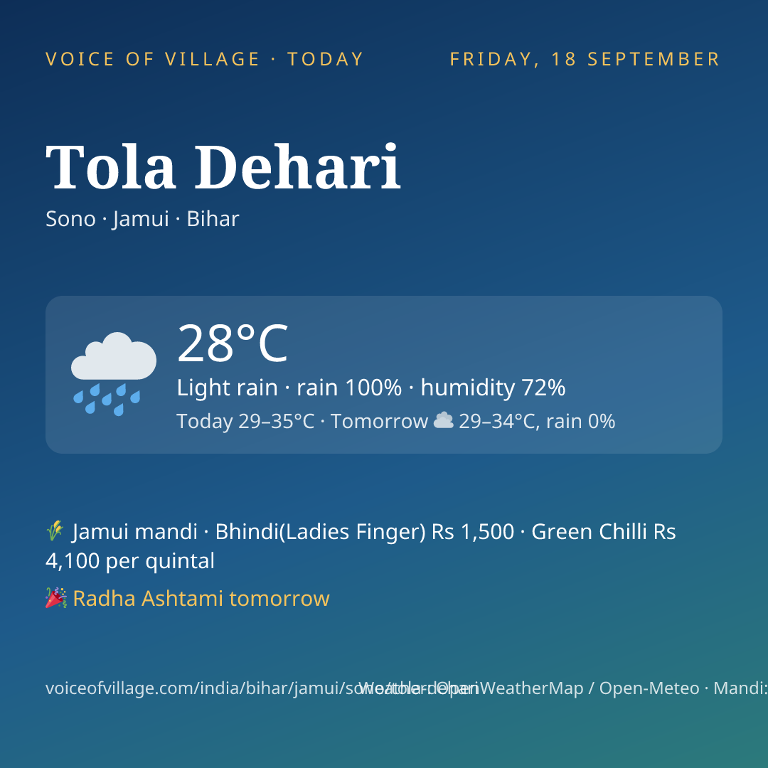 Tola Dehari today