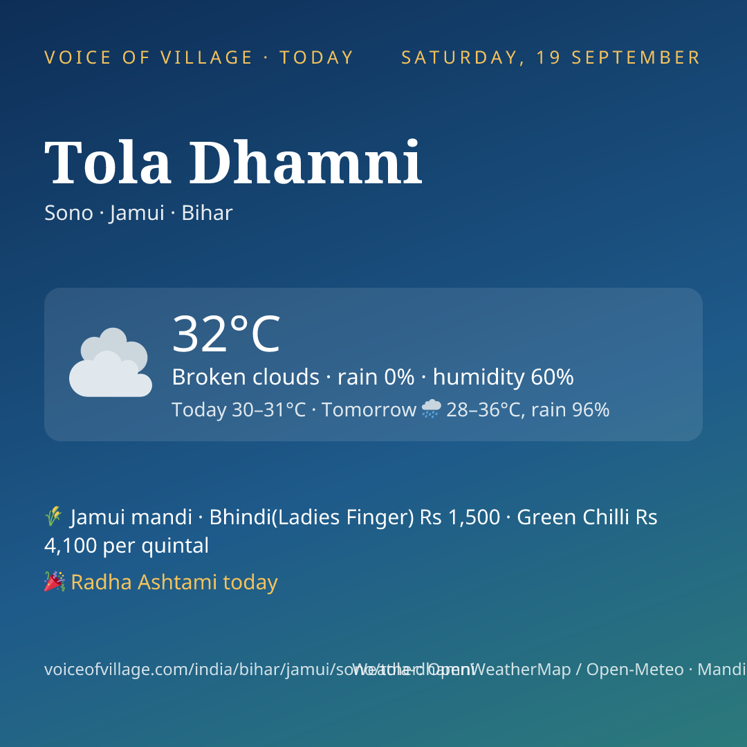 Tola Dhamni today