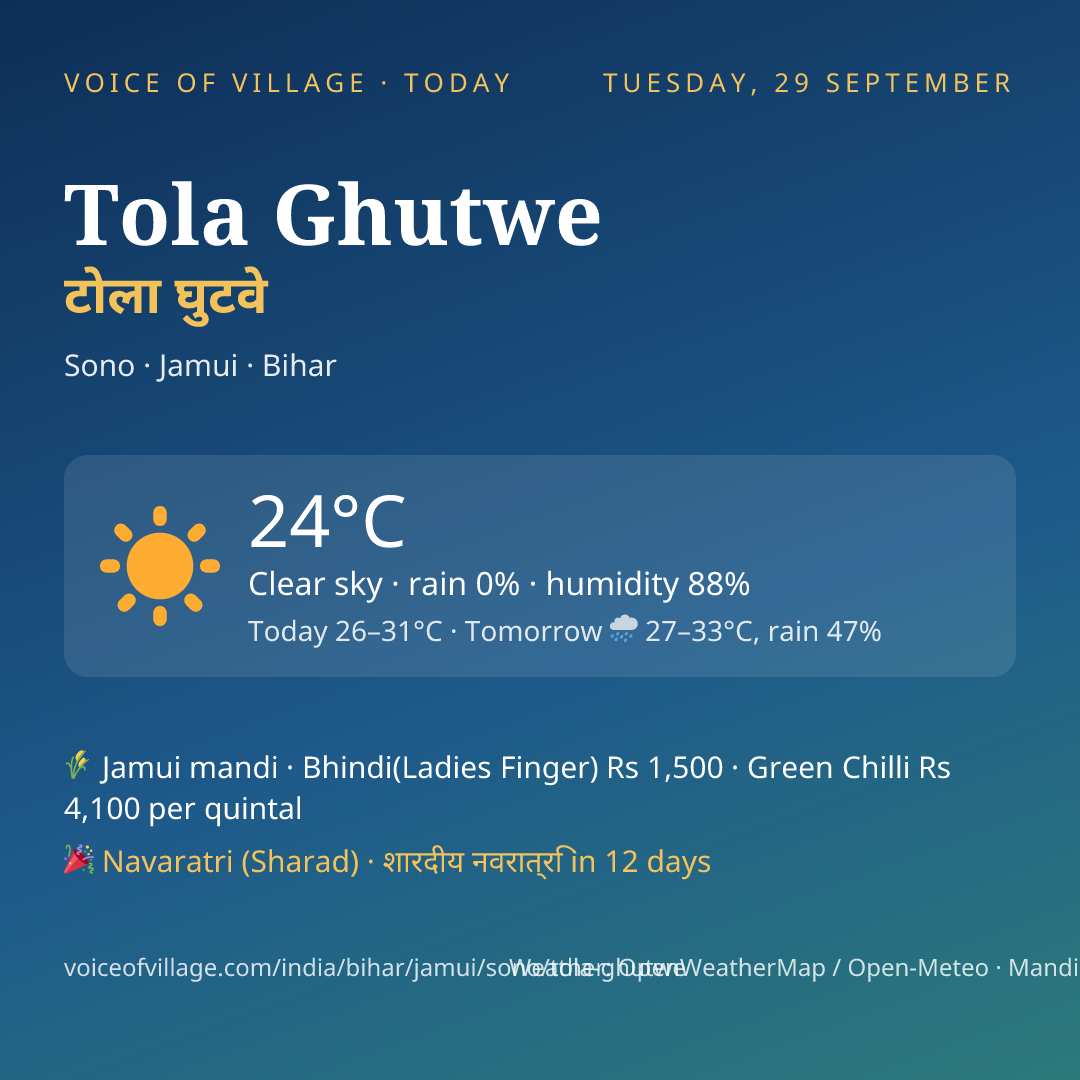 Tola Ghutwe today