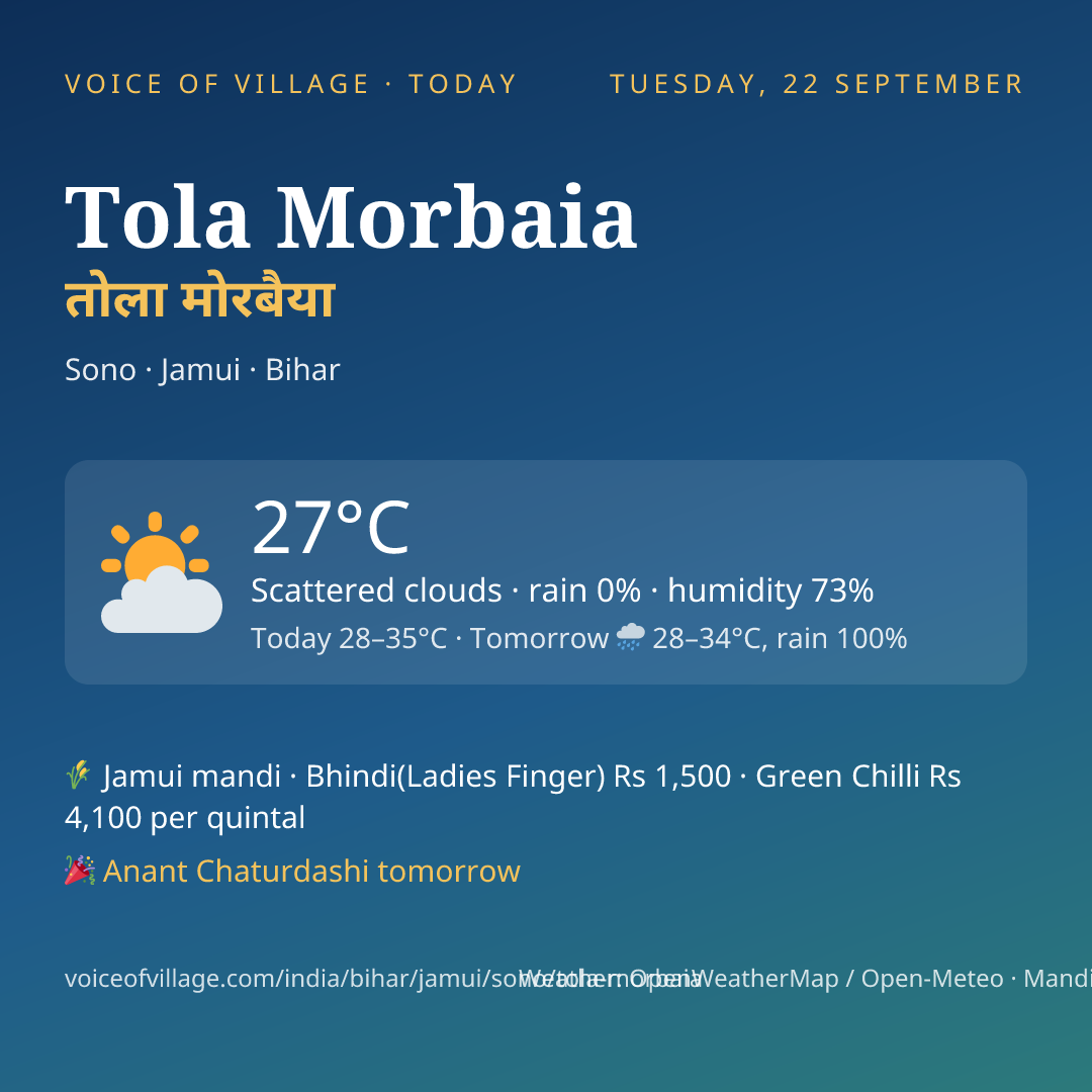 Tola Morbaia today