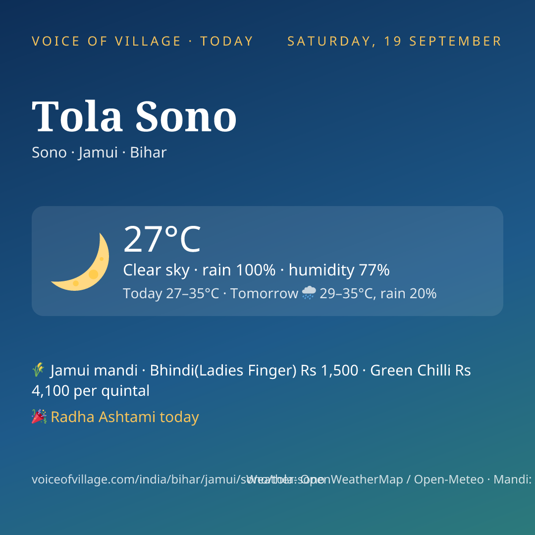 Tola Sono today