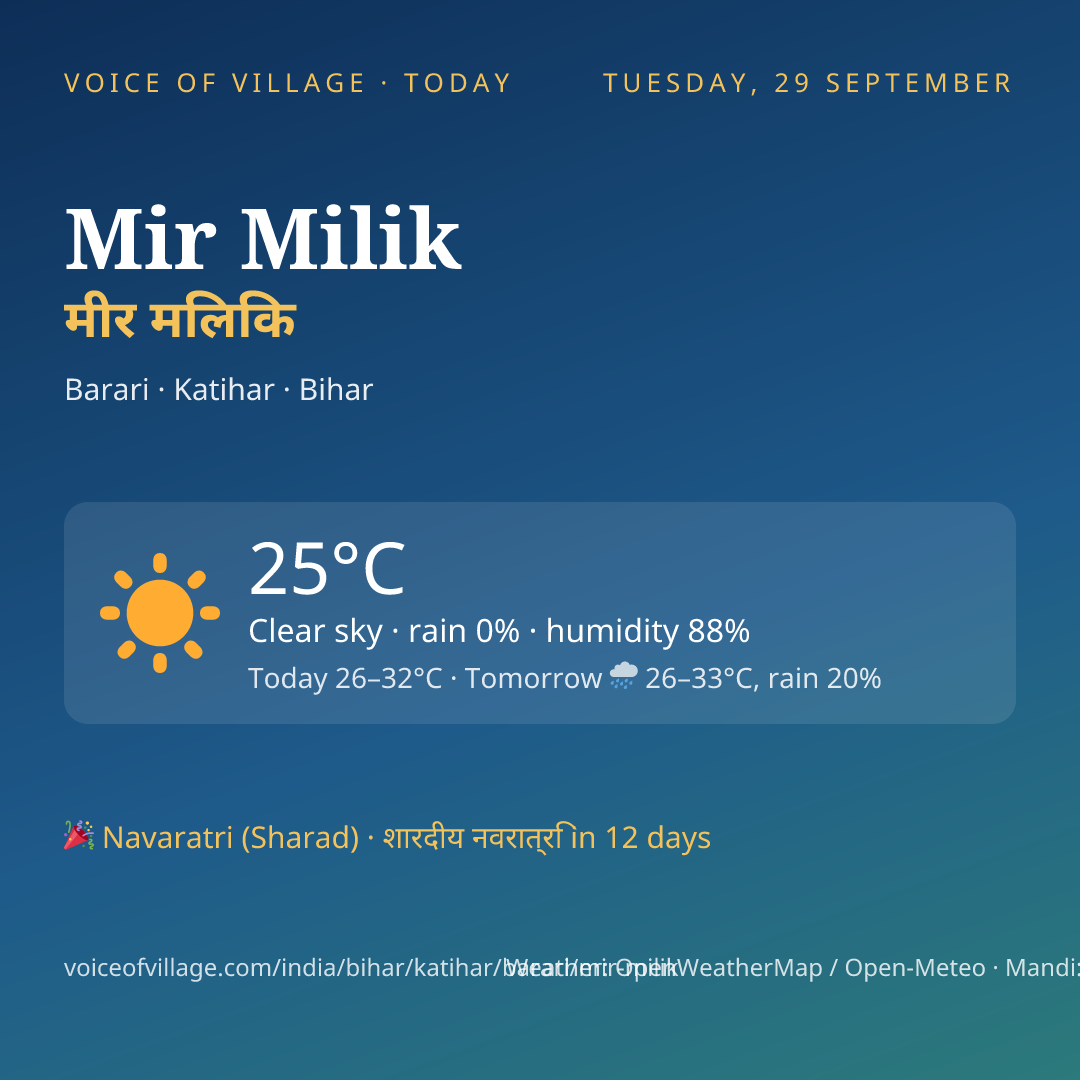 Mir Milik today