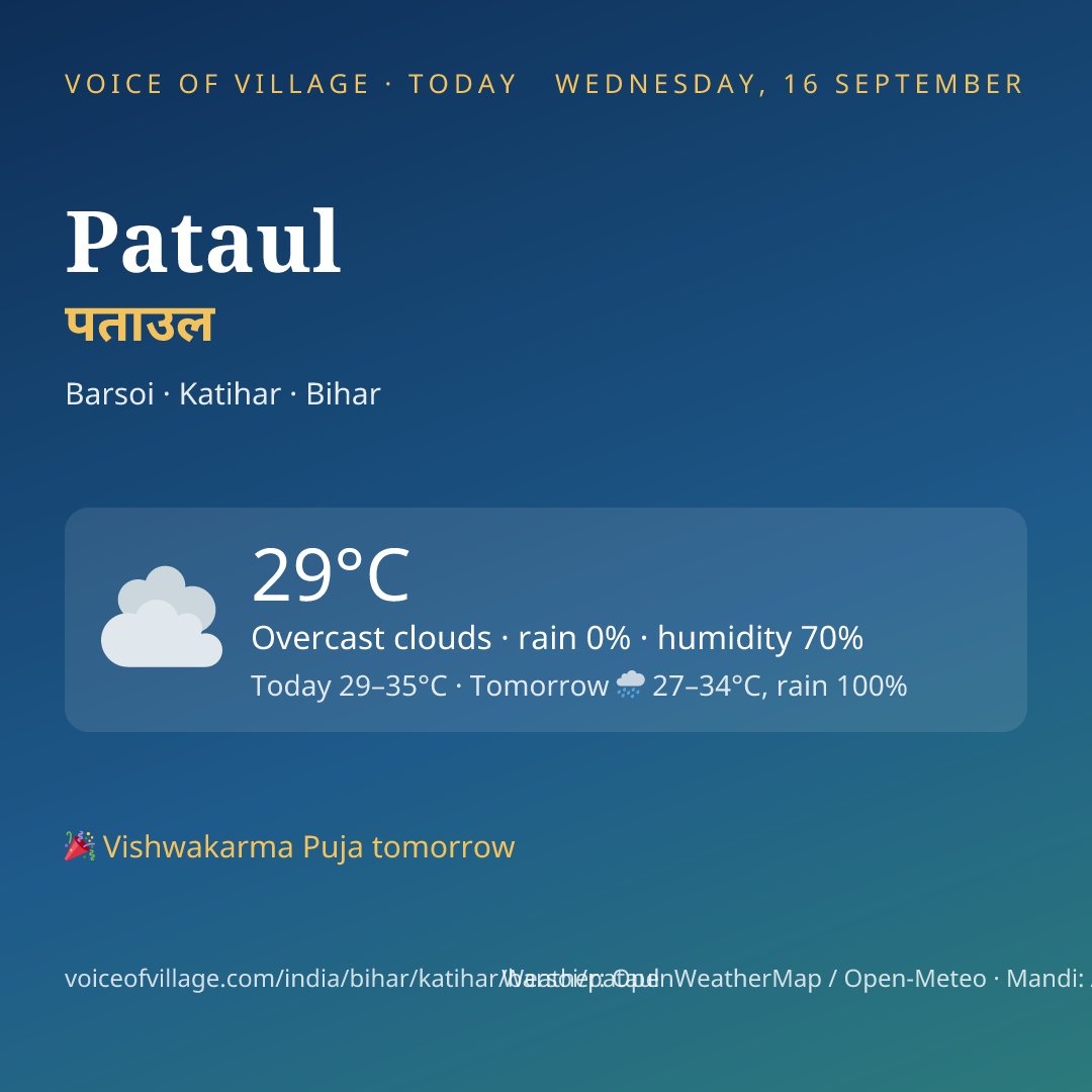 Pataul today