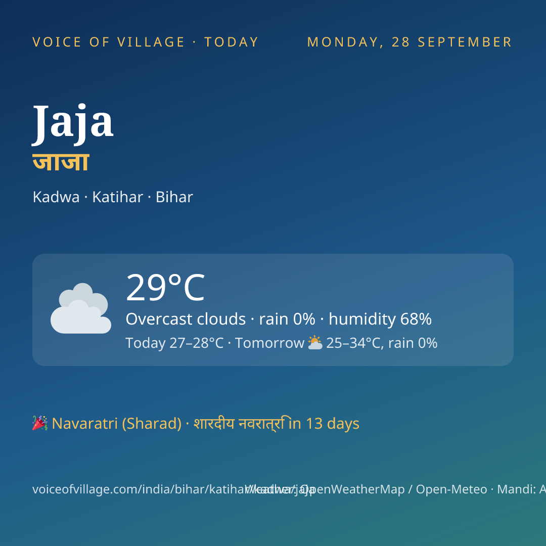 Jaja today