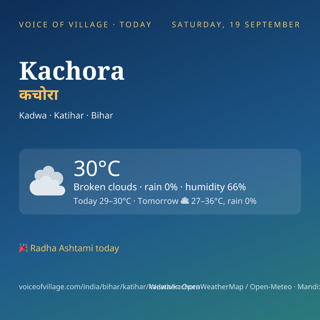 Kachora today