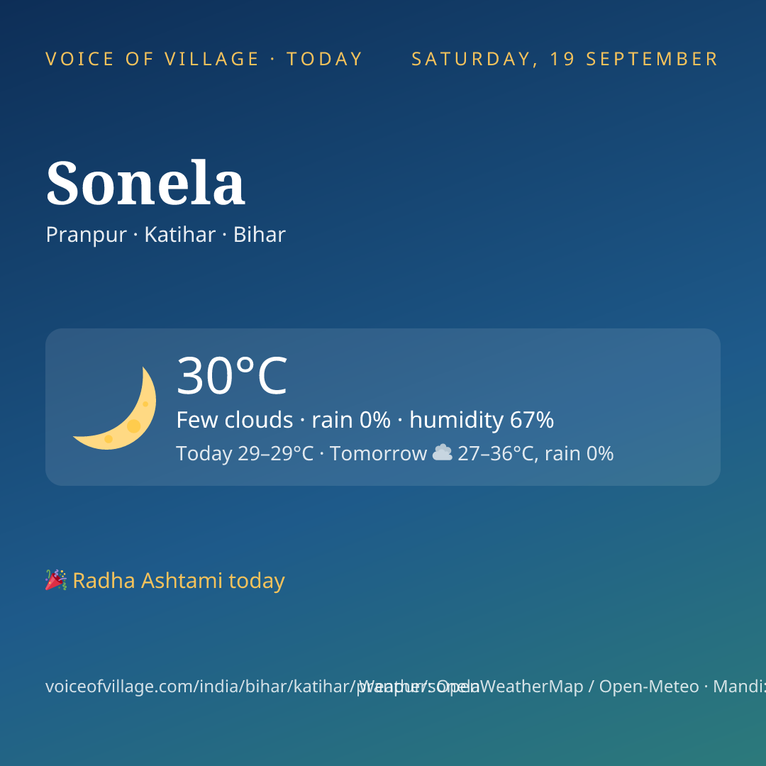 Sonela today