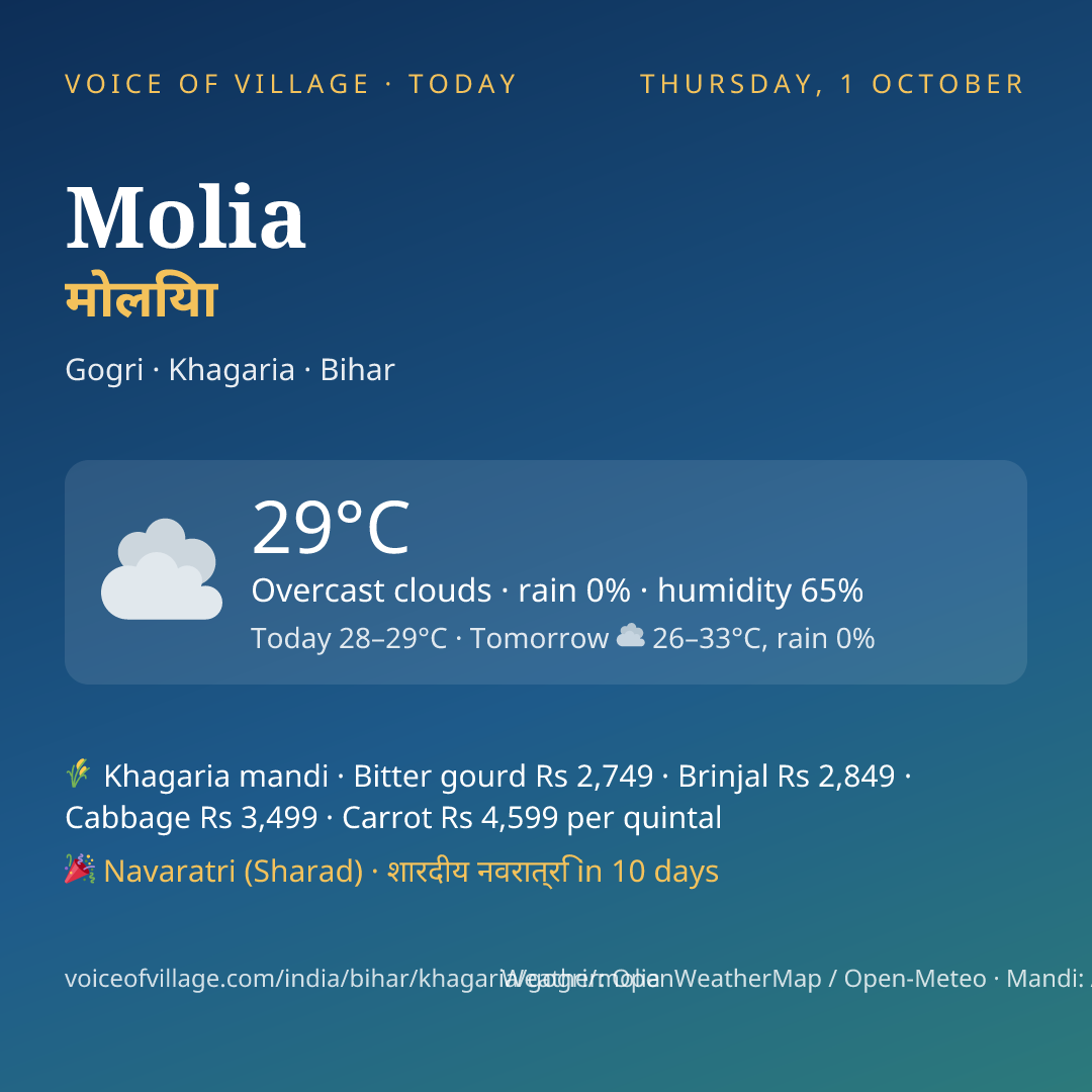 Molia today