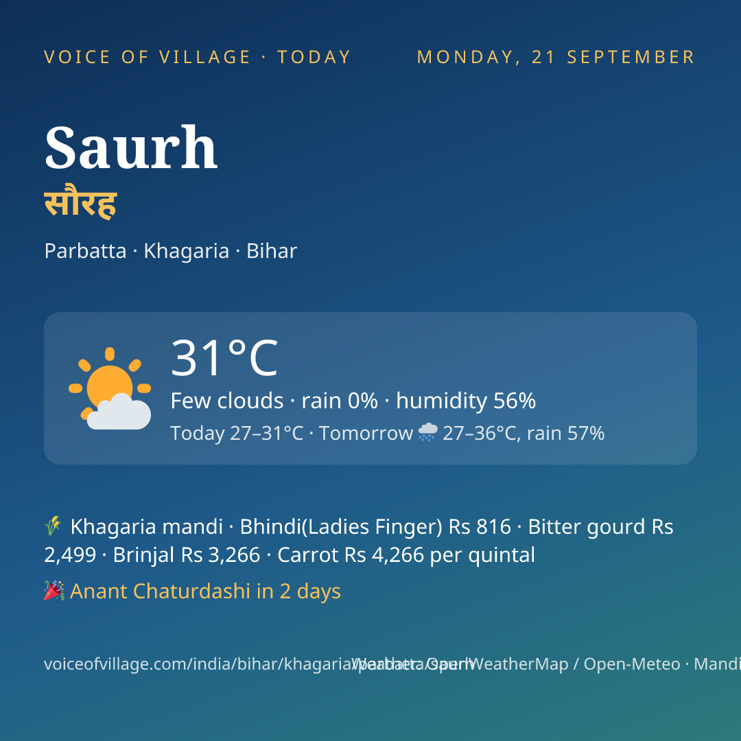 Saurh today
