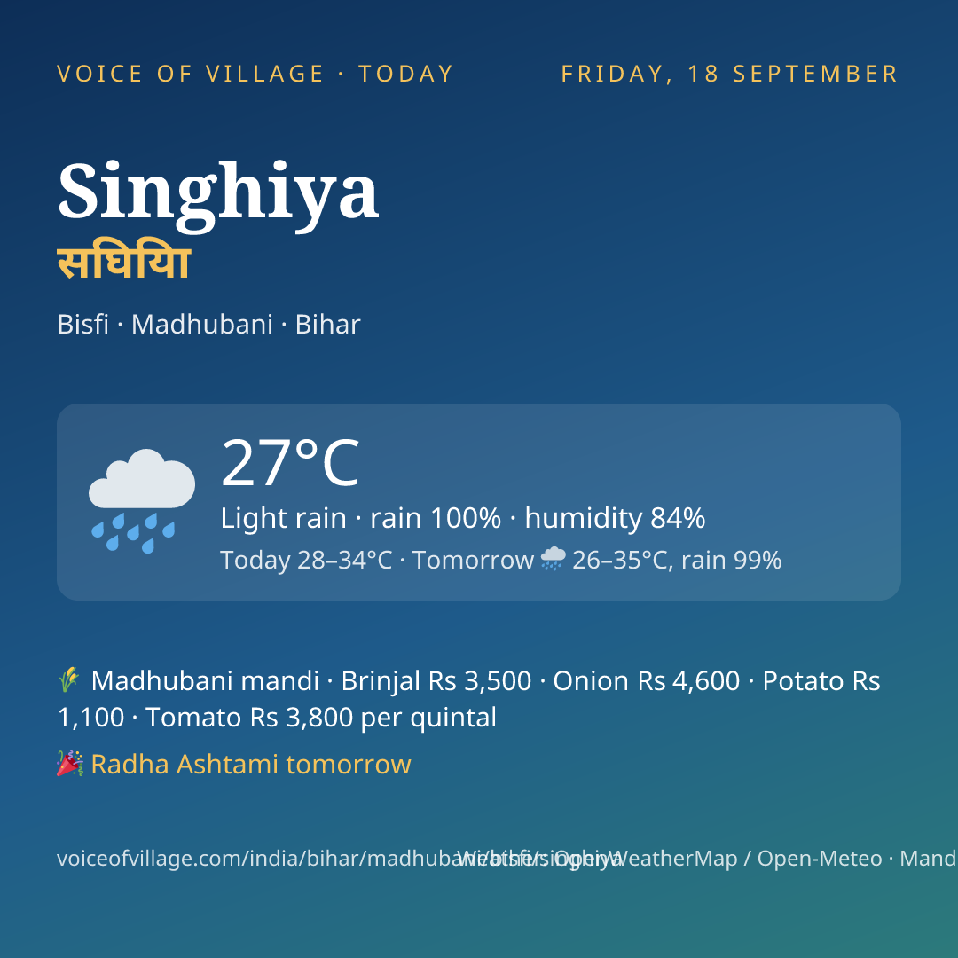 Singhiya today