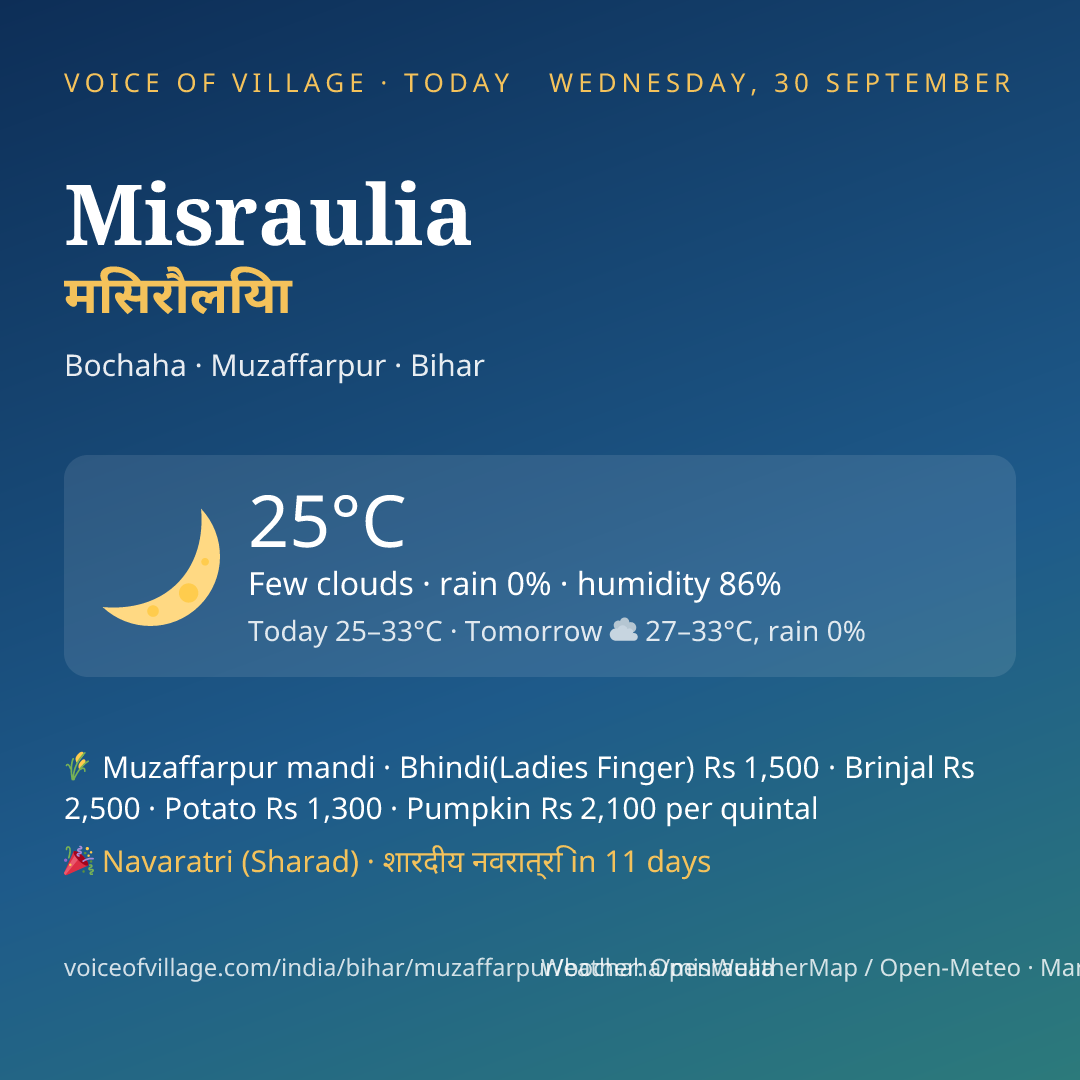 Misraulia today