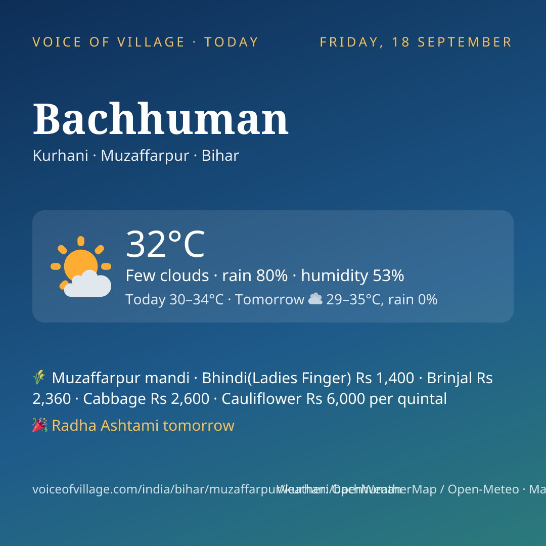 Bachhuman today